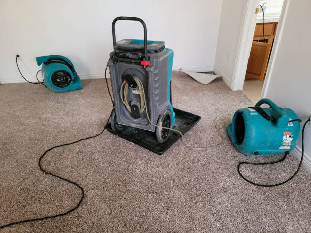 Professional Water damage restoration in Riverside, IA